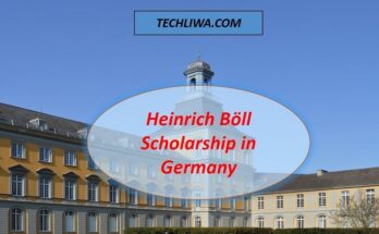 Heinrich Böll Scholarship in Germany