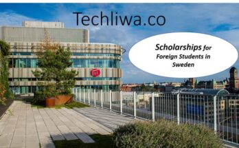 Scholarships for Foreign Students in Sweden