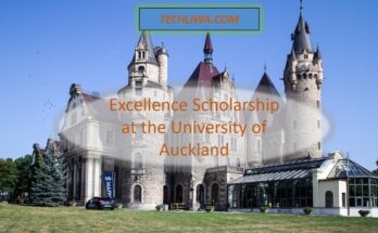 Excellence Scholarship at the University of Auckland