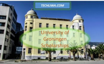 University of Groningen Scholarships